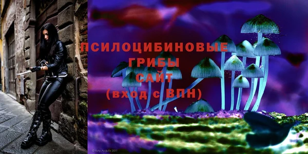 марки lsd Балабаново