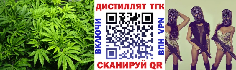 купить  сайты  Саяногорск  Дистиллят ТГК THC oil 